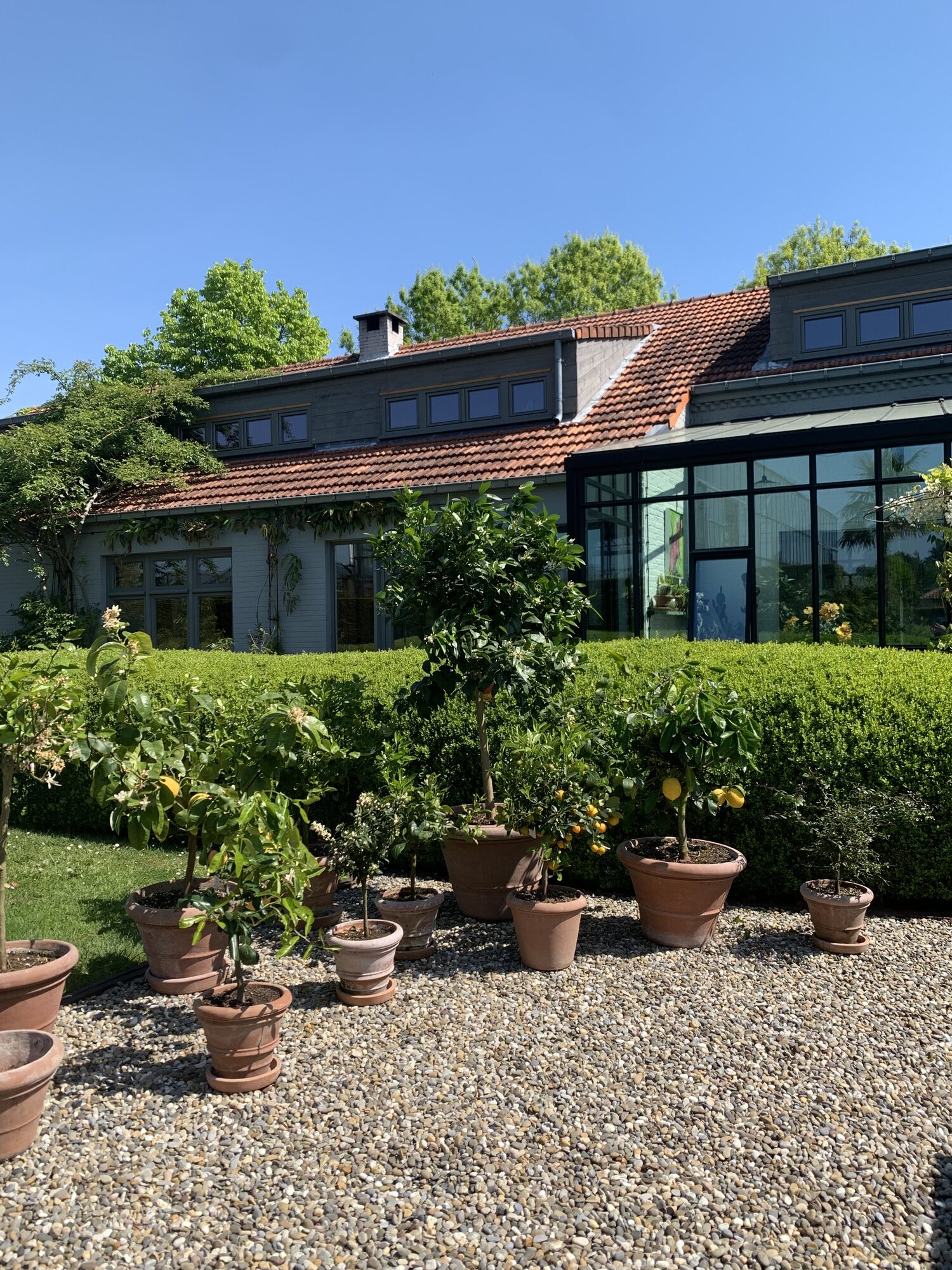 Orangerie Jaeken diensten en advies